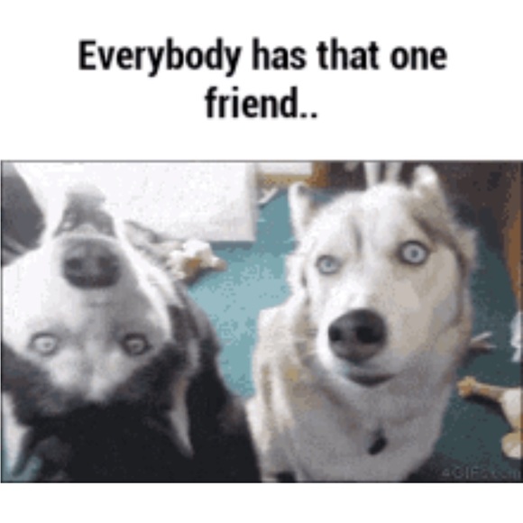 Silky Touch Brow Kit - Picture 1 of 2